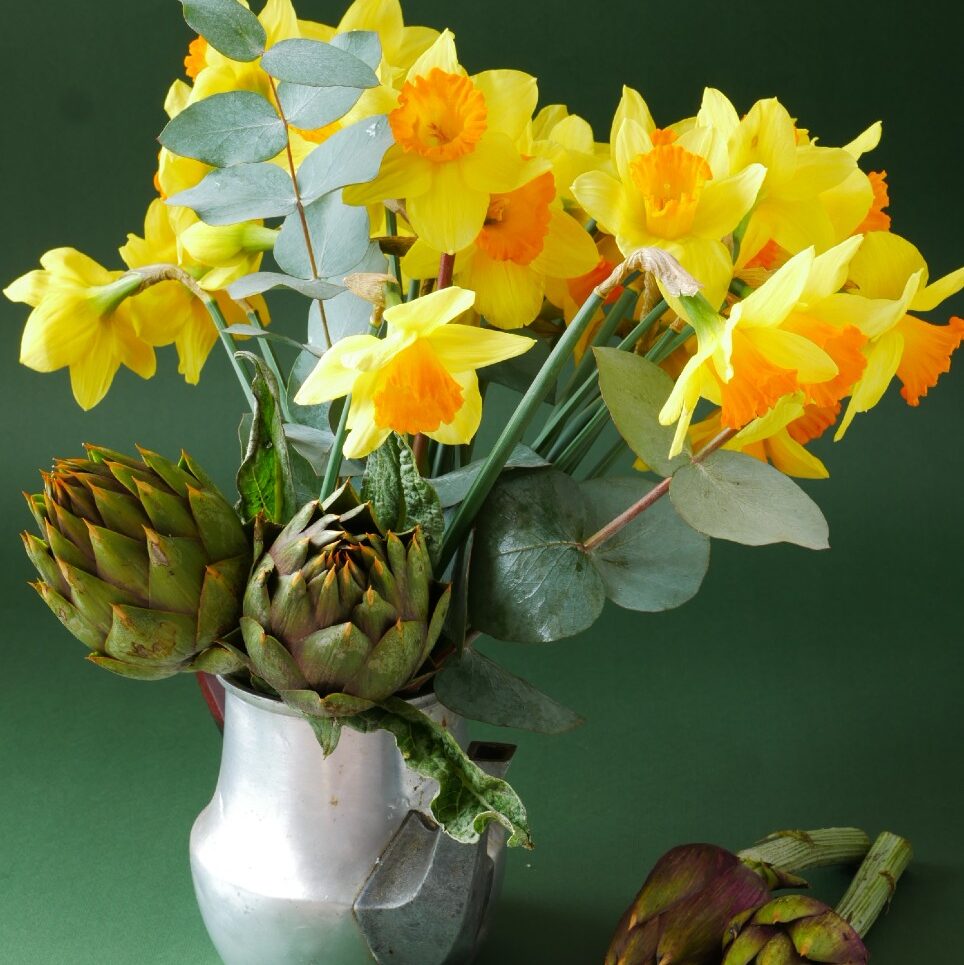 Come pulire i. carciofi aspect ratio 1 1