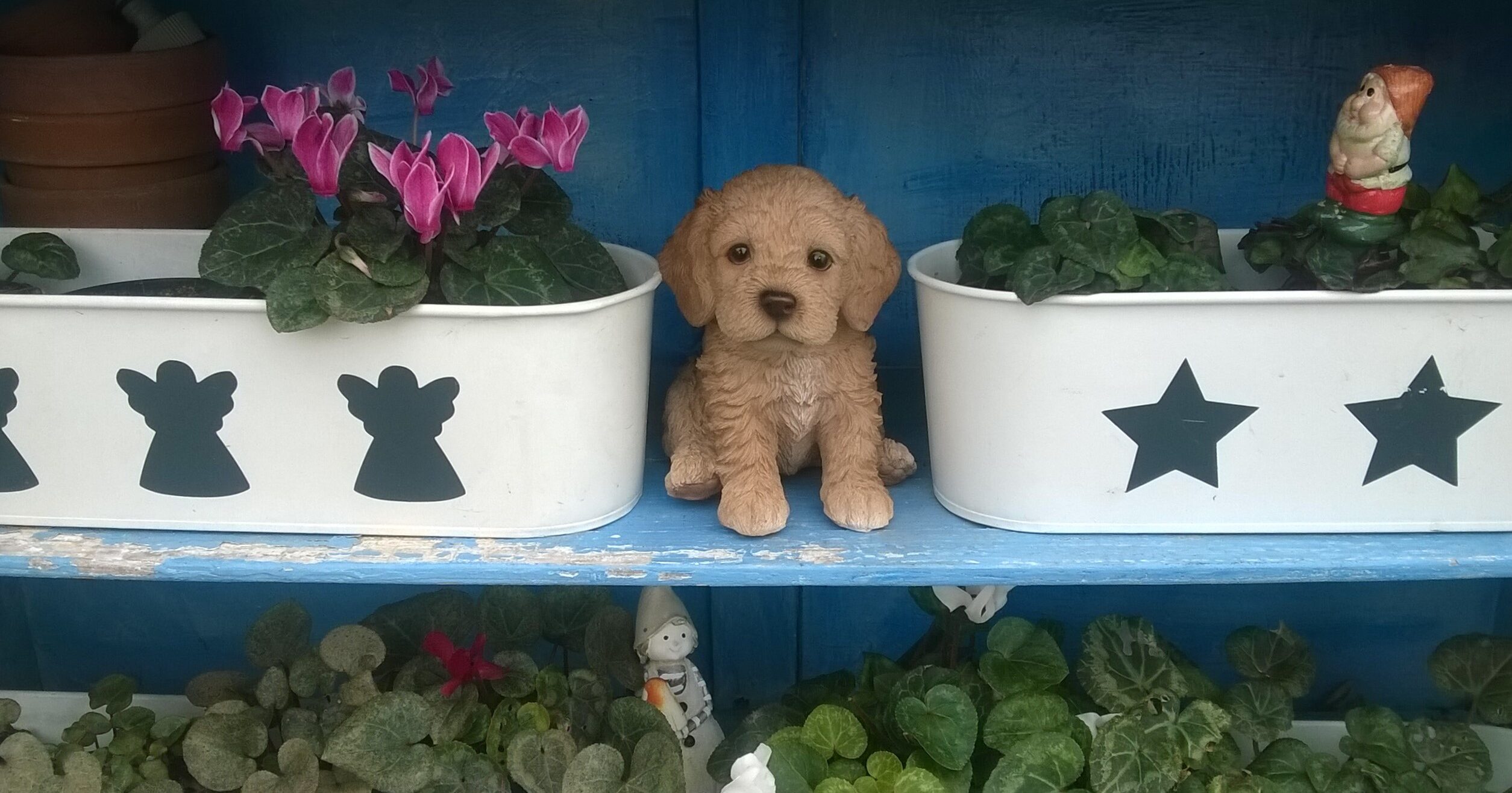 Storia romantica crostata cuore aspect ratio 1200 630