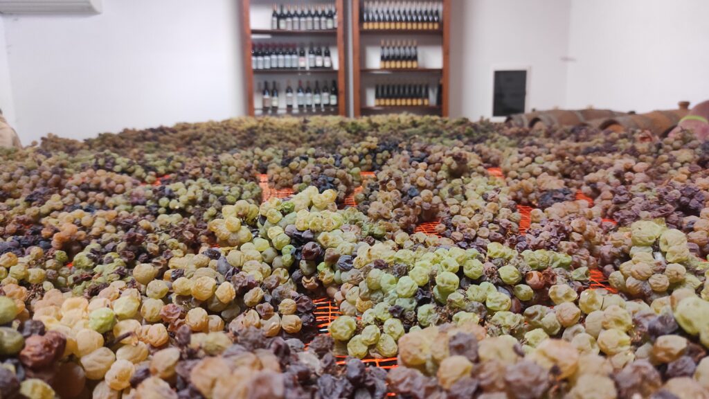 Cooking experience cantina visconti vigoleno san valentino