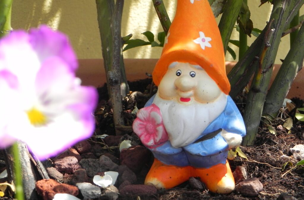 Storia romantica crostata cuore3