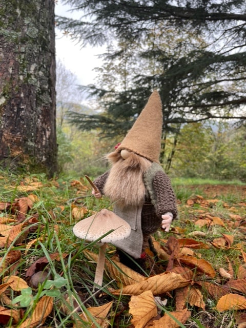 Barenton gnomi di genepio