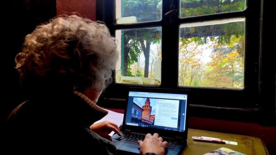 Silvia tavella, La Regina del focolare al lavoro