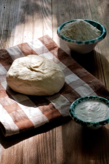 Pane naan min scaled aspect ratio 350 525