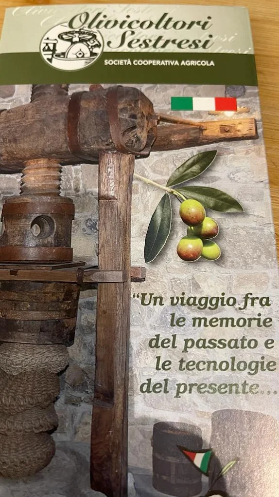 Olivocoltori sestresi @sandro cammelli